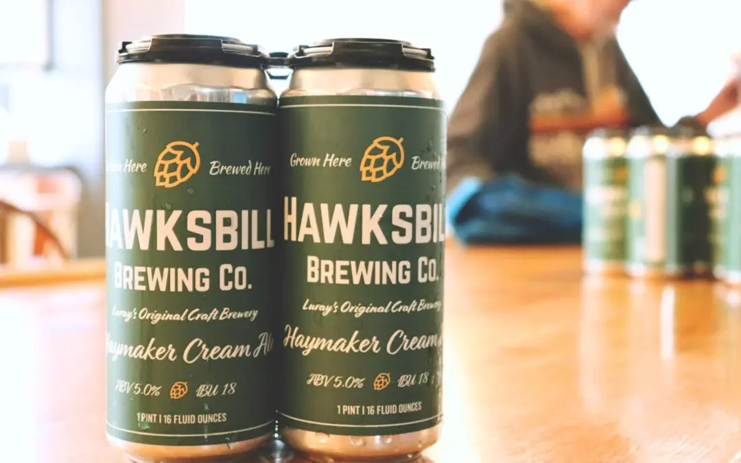 News Hawksbill 1080x675
