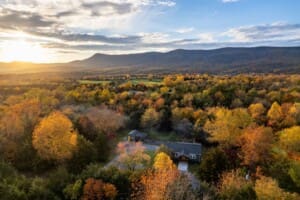 e2270364 d974 49ab b057 c365dad41d7b.jpeg